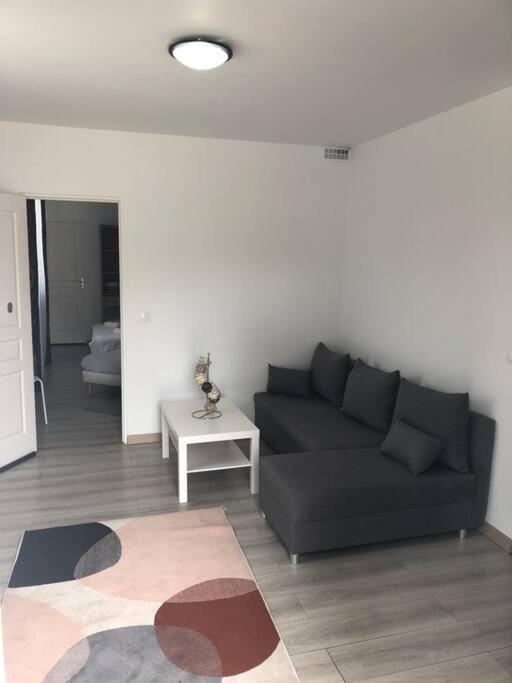 Top Appartement 10 Minutes De Disney Шеси Экстерьер фото
